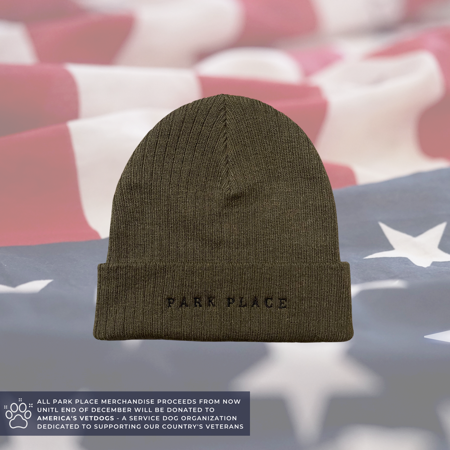 Park Place Embroidered Beanie | Olive Green