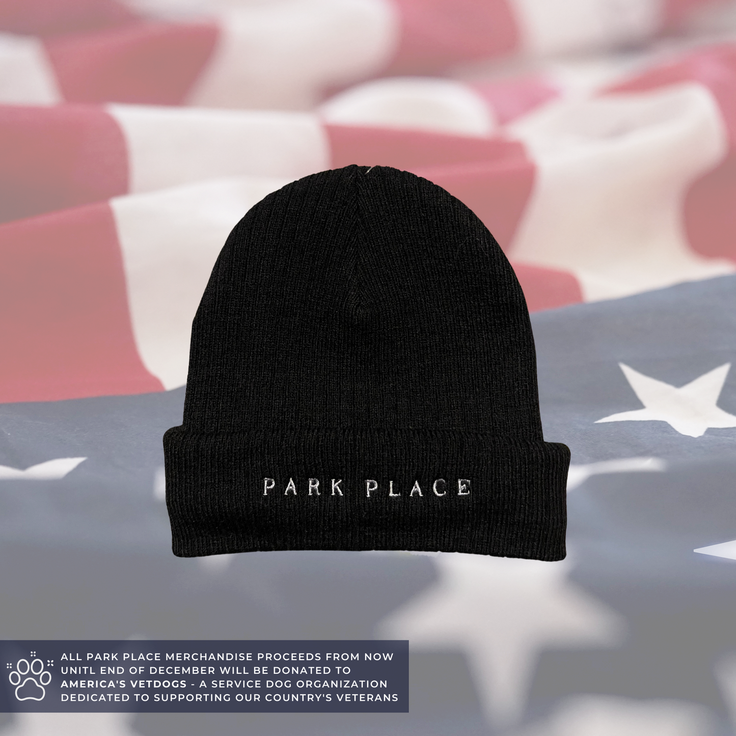 Park Place Embroidered Beanie | Black